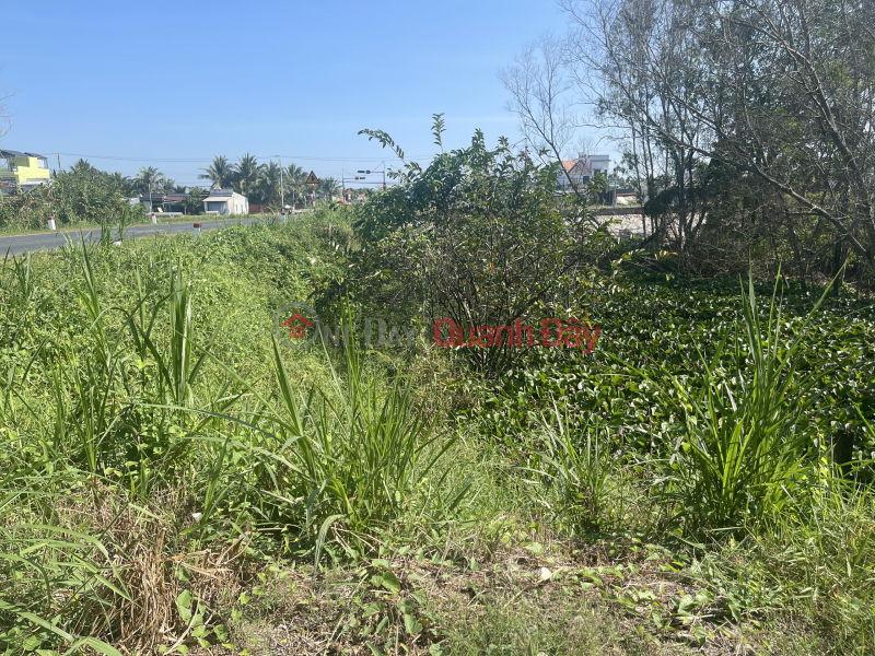 ₫ 39.5 Billion FOR SALE LAND LOT 1,300SKC +3,700 LUA IN CHAU DOC AN GIANG CITY