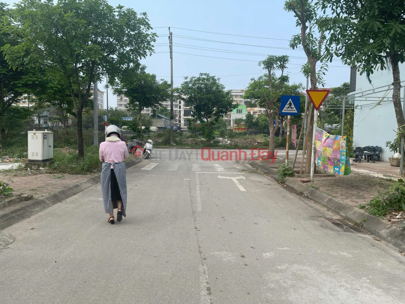 RESETTLEMENT LAND FOR SALE IN TRAU QUY – GIA LAM – HANOI Vietnam Sales | đ 11.58 Billion