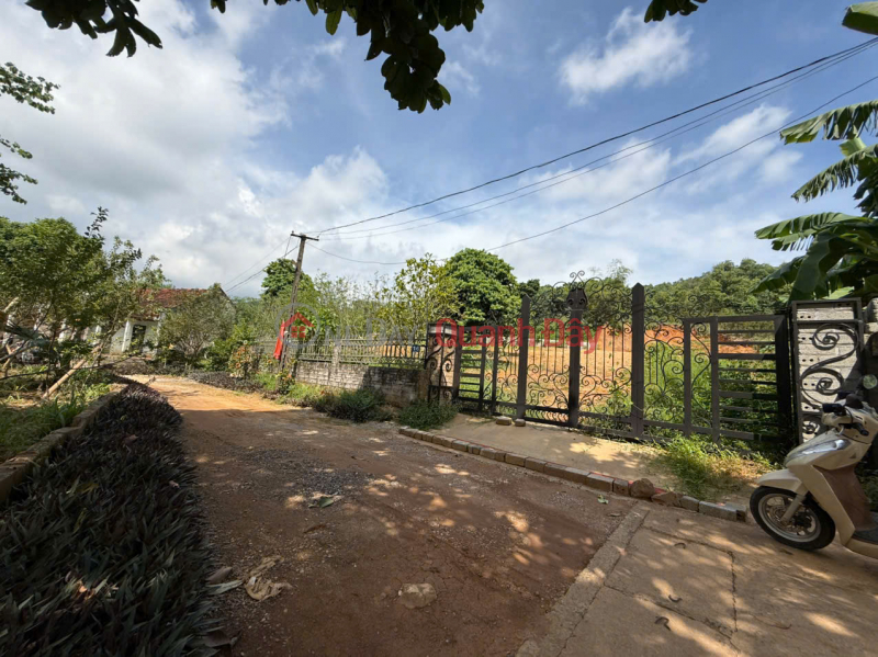 OWNER NEEDS TO SELL URGENTLY - SUPER BEAUTIFUL LAND PRODUCT IN YEN BAI (OLD VAN HOA),BA VI, HANOI Sales Listings