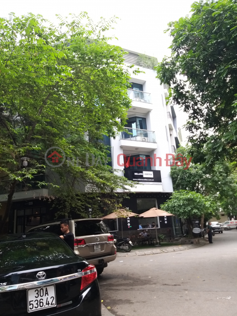 Cho thuê biệt thự nhà ở Quốc Hội, Phùng Khoang, 200m2, 4 tầng, giá tốt _0