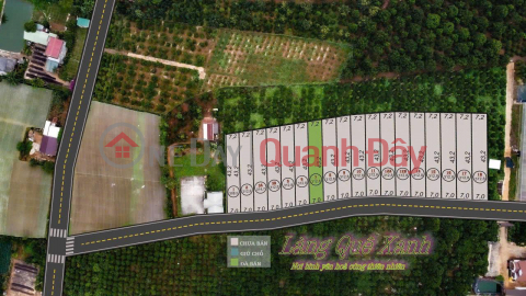 QUICK SALE OF LAND IN Tan Ha - Lam Ha - Lam Dong _0