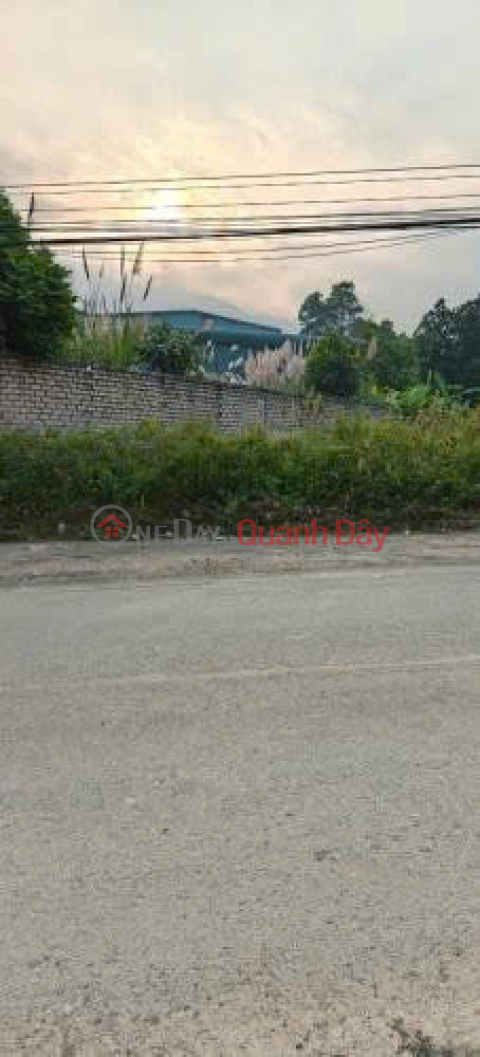 Land for sale, 80m2, in Tien Xuan Commune, Thach That District, Hanoi - Only 50 million VND per m2 - Wide paved road accessible by car. _0
