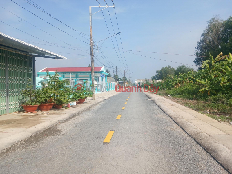 Property Search Vietnam | OneDay | Sales Listings 100m2 of road frontage land in residential area of My Phuoc town, Tan Phuoc, Tien Giang