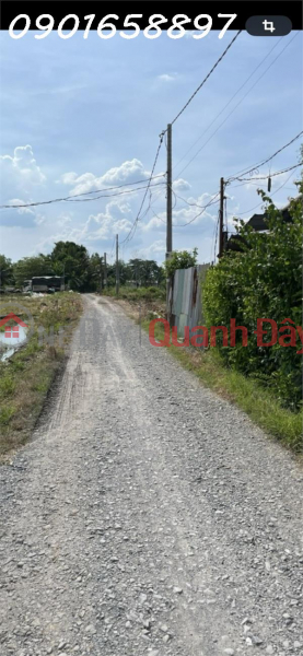Owner needs to sell garden house in Tan Buu commune, Ben Luc, Long An, area 1,588m2 (residential land 379m2) Sales Listings