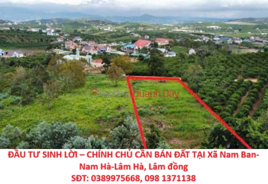 PROFITABLE INVESTMENT – OWNER NEEDS TO SELL LAND IN NAM BAN COMMUNE, NAM HA DISTRICT, LAM DONG PROVINCE Sales Listings