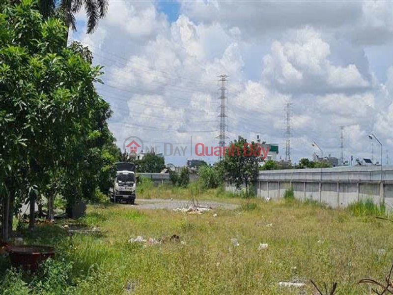 1.1 Ha of SHR Frontage Land, Expanding to the Back - Pham Thi Giay Hoc Mon SS Vietnam | Sales | đ 180 Million