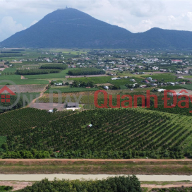 Lush garden, view of Ba Tay Ninh Mountain - 5 acres of beautiful Durian and Jackfruit for sale! _0