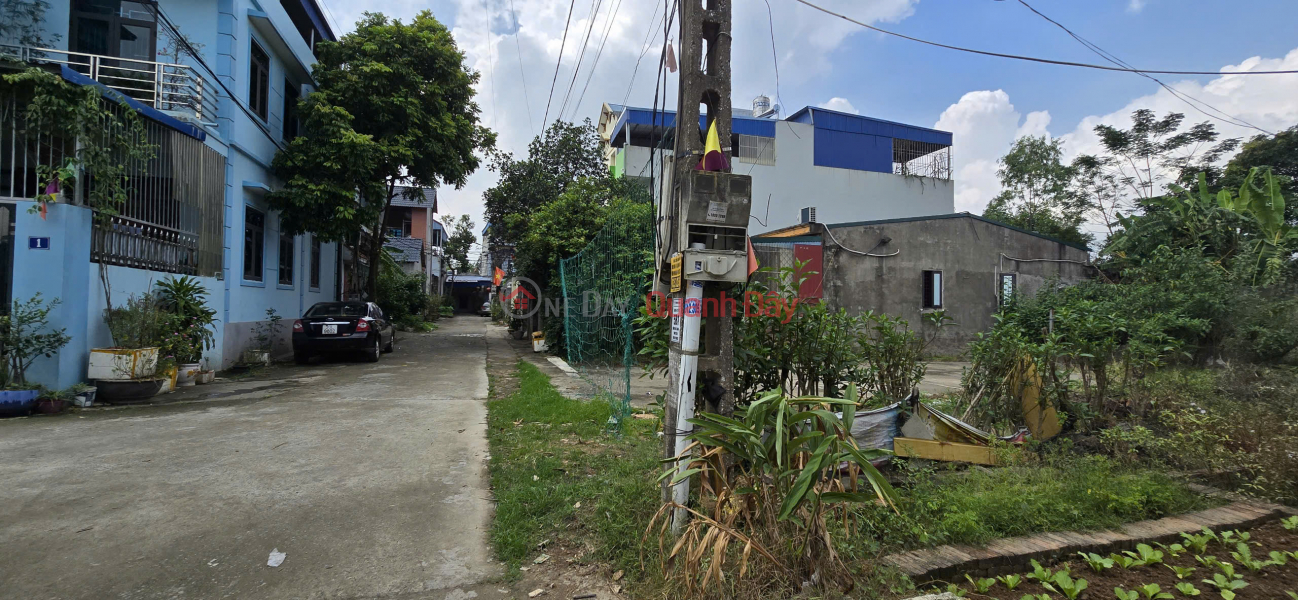 Property Search Vietnam | OneDay | Residential Sales Listings Owner sells land in Minh Tri, Soc Son, 99.5m2, frontage 4.06m, Southeast direction, car-avoiding road