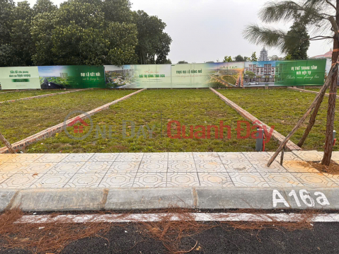 Bán đất Cổ Đông, Sơn Tây vị trí đẹp, đường ô tô tránh, giá tốt, tiềm năng tăng giá - Gần ĐHQG _0