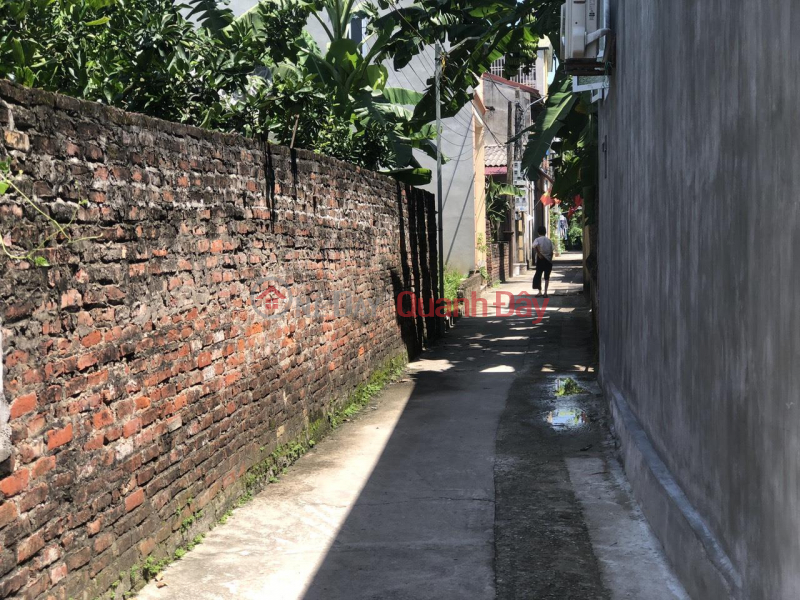 Due to need money, the owner needs to sell urgently a land plot of 40m2 Thai Binh Mai Lam Dong Anh Hanoi has a house of grade 4 Sales Listings