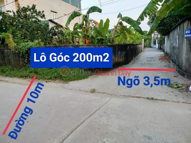 OWNER SELLING 200M2 LAND LOT OF HOANG DIEU-CHUONG MY-HANOI Sales Listings