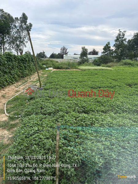  | Làm ơn chọn, Nhà ở, Niêm yết bán đ 11,5 tỷ