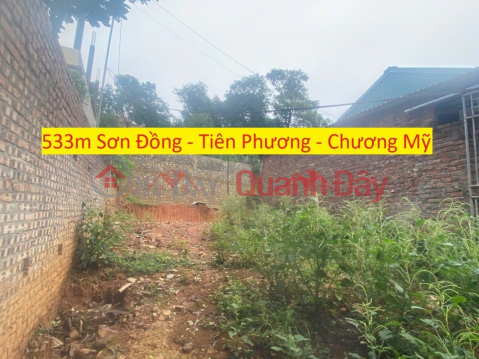 RESORT LAND FOR SALE 533M IN TIEN PHUONG-CHUONG MY-HANOI _0