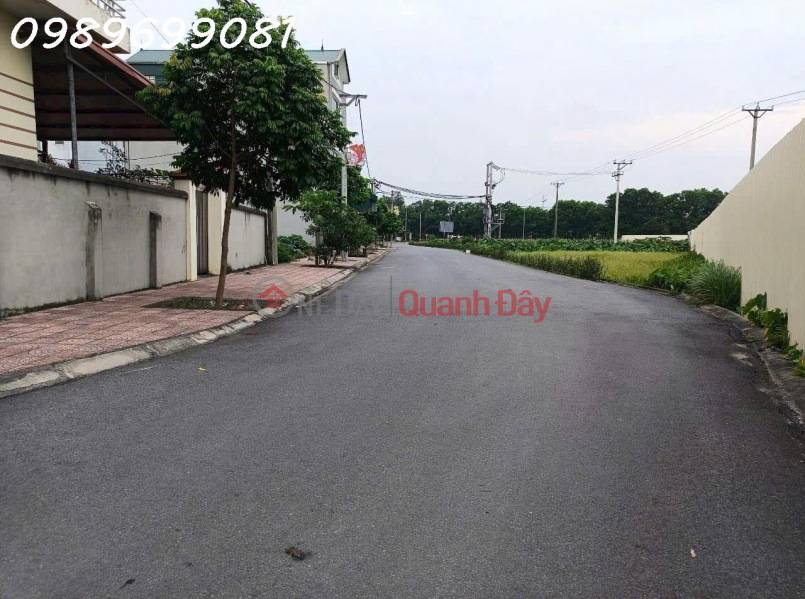 Land for sale in Dong hamlet, Nguyen Khe, Dong Anh, price 8Xtr\\/m2 Vietnam | Sales đ 6 Billion