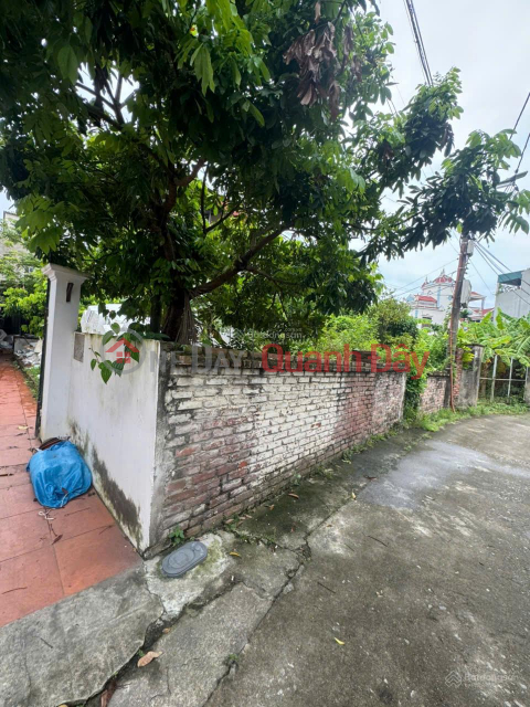 BÁN 2 MẢNH LIỀN KỀ THỔ CƯ SẴN SỔ MẶT TIỀN OTO TRÁNH GIÁ TỐT NHẤT BÁT KHỐI- GIA LÂM _0