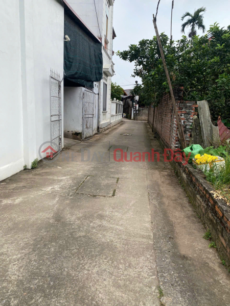 Bán 50m đất Tráng Việt, Mê Linh, HN. Đường thông, oto đỗ đất. Gần dự án cầu Thượng Cát | Việt Nam Bán | đ 2,25 tỷ
