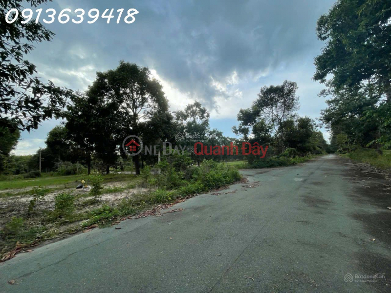 Property Search Vietnam | OneDay | Nhà ở | Niêm yết bán | Bán đất tại Định Hiệp, Dầu Tiếng, Bình Dương, giá tốt, 4,7 triệu / m2, 294 m2