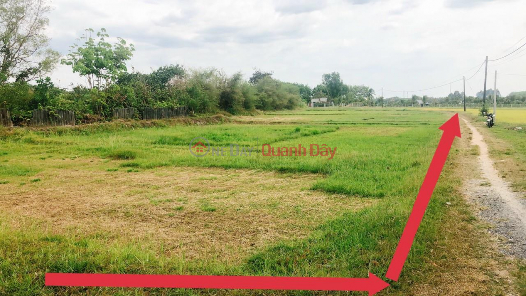 OWNER NEED TO SELL QUICKLY Plot of Land with 2 Fronts in Cu Chi - Ho Chi Minh Sales Listings