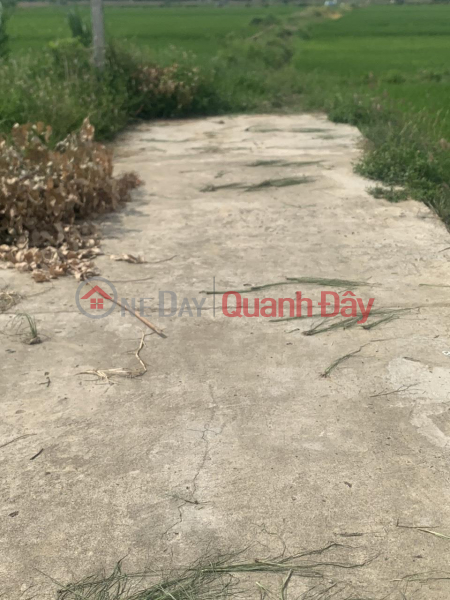 đ 580 Million | GOOD PRICE - FAST LOCKING - Owner For Sale Land Lot In Dien Tho, Dien Ban - Quang Nam