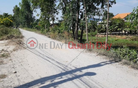 Urgent sale of very beautiful plot of land frontage of DT 821 street, Loc Giang commune, Duc Hoa district, Long An province _0