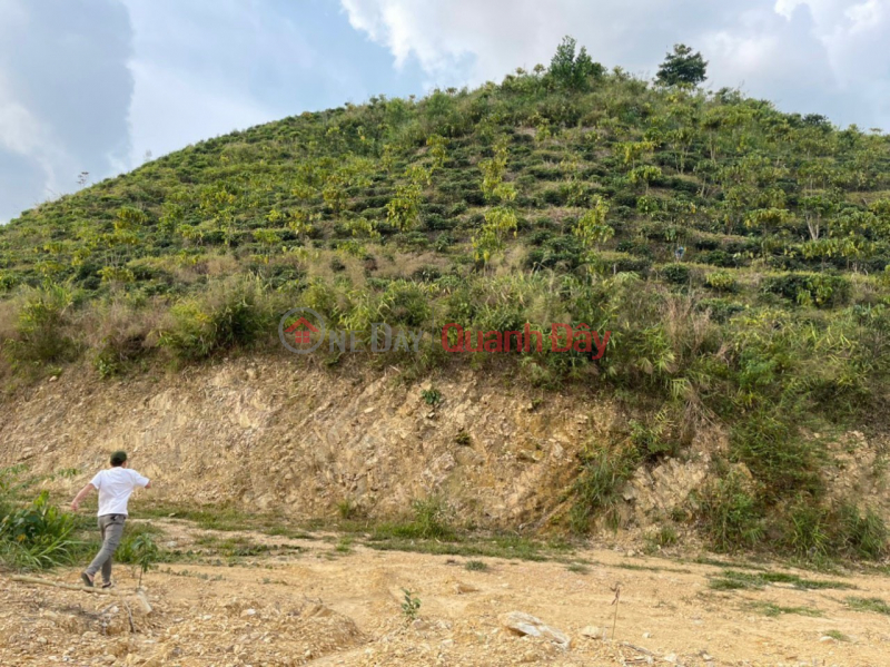 đ 2.7 Billion, Beautiful Land - Good Price Owner Needs to Sell Land Plot Quickly in Bao Lam, Lam Dong Province