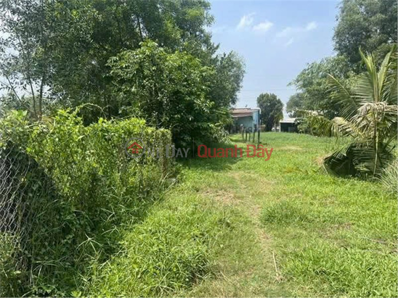 HOT HOT – OWNER NEEDS TO SELL A LOT OF LAND IN A BEAUTIFUL LOCATION IN Phuoc Thanh Commune, Cu Chi District, HCMC | Vietnam | Sales | đ 8.5 Billion