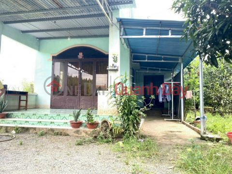 Selling resort garden house 600m2 with 80m2 residential area, with pomelo garden only 3ty1 _0