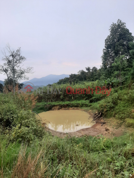 đ 5.6 Billion | Land for sale in Loc Thanh - Bao Lam - Lam Dong - 0984 96 70 76
