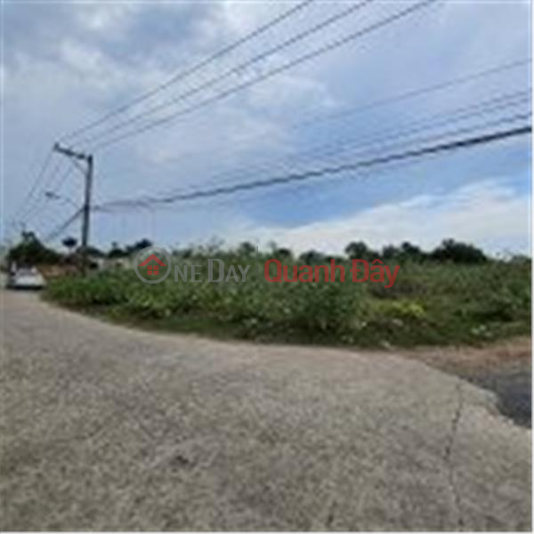 Property Search Vietnam | OneDay | Residential | Sales Listings BEAUTIFUL LAND - GOOD PRICE - For Quick Sale Land Lot Prime Location In Long Truong Ward, District 9