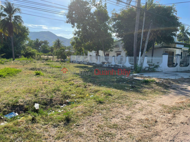 PRIMARY LAND - BEAUTIFUL LOCATION In Tan Lap, Cam Phuoc Tay, Cam Lam, Khanh Hoa. Sales Listings