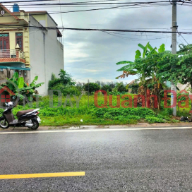 LAND FOR SALE ON BUSY NATIONAL HIGHWAY IN VU THU - 310M2 FRONTAGE 15M RARE _0
