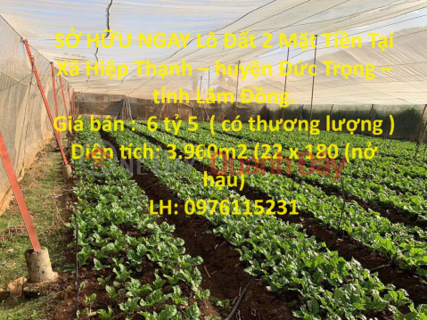 SỞ HỮU NGAY Lô Đất 2 Mặt Tiền Tại Xã Hiệp Thạnh – huyện Đức Trọng – tỉnh Lâm Đồng. _0