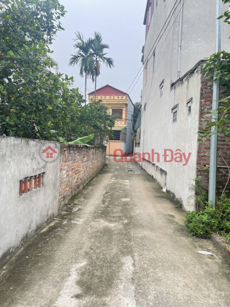 Land for sale in Kinh No village, Uy No commune, Dong Anh district, Hanoi 90m . Price 2x, Vietnam Sales | đ 2.2 Billion