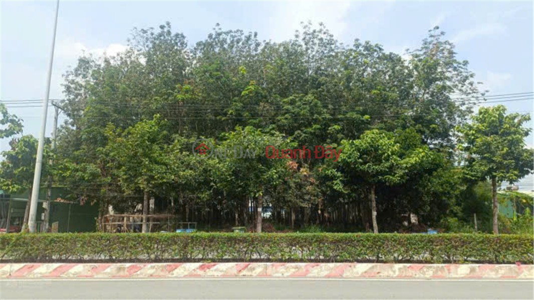 BEAUTIFUL LAND - GOOD PRICE, NEED TO SELL QUICKLY LOT OF LAND WITH 2 FRONTAGES, Hung Vuong, 3855m2, Tay Nam Ward, Ho Chi Minh City, Vietnam | Sales | đ 26.5 Billion