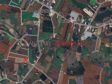 House and garden for sale, 1000m2, Duc Trong – Lam Dong - price 3.25 billion VND. _0