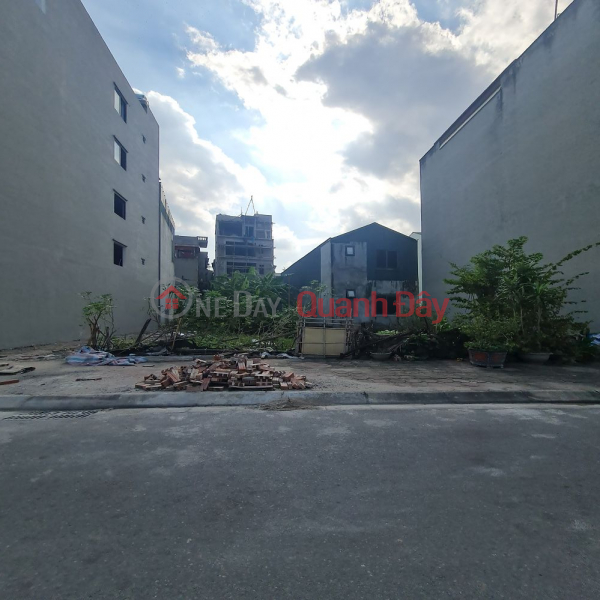 Auction of 31 hectares in Trau Quy, Gia Lam. 234m2, 12m frontage, 15m road, investment price. Contact 0989894845 Sales Listings