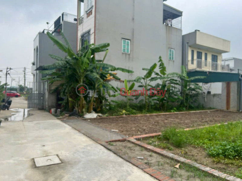 Bán đất thôn Ấp Tre (Tổ 9) Quang Minh, TP Hà Nội. Đường thông bàn cờ, full thổ cư, oto đỗ Niêm yết bán