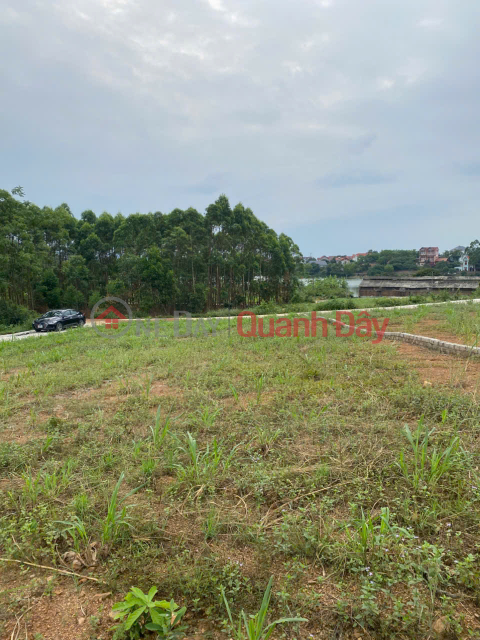 Land for sale, 721m2, in Quynh Son - Yen Dung - Bac Giang. _0