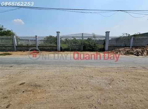 Selling 1,576 m2, land on 19\/5 road, Xom Moi hamlet, Tan Lan commune, Can Duoc district (20km from Ho Chi Minh City center) _0