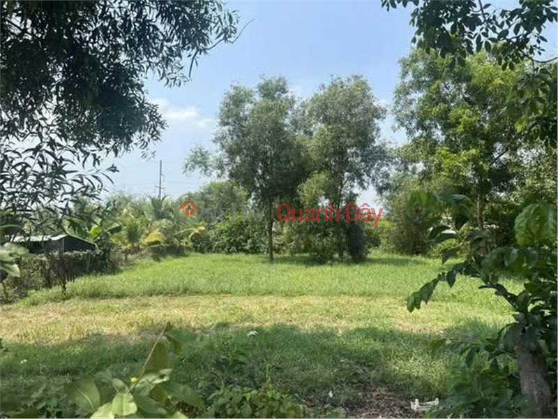 Property Search Vietnam | OneDay | Residential | Sales Listings, HOT HOT – OWNER NEEDS TO SELL A LOT OF LAND IN A BEAUTIFUL LOCATION IN Phuoc Thanh Commune, Cu Chi District, HCMC