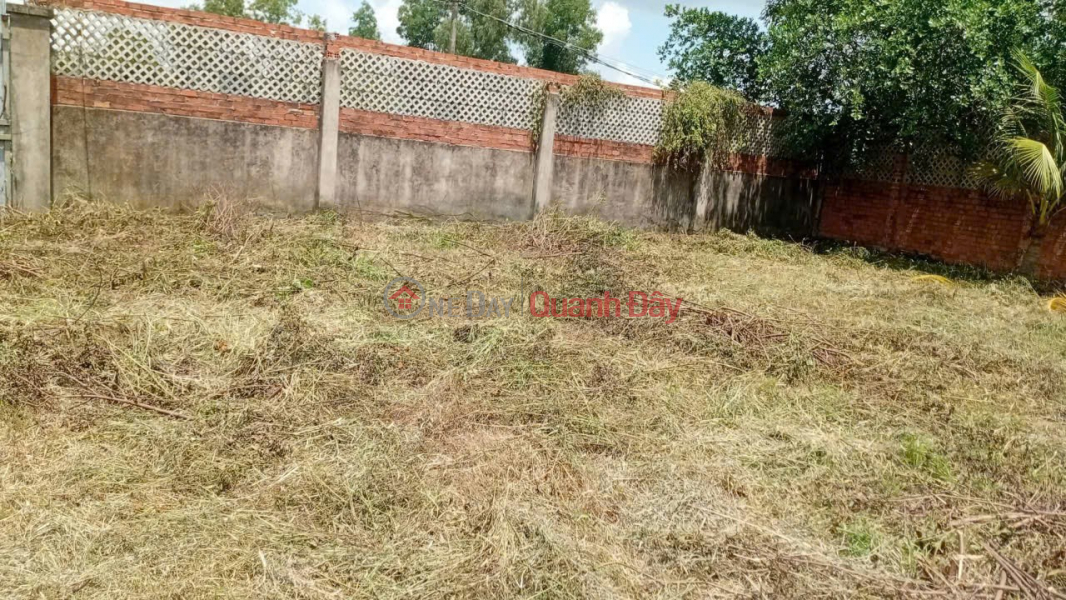 PROFITABLE INVESTMENT – NEARLY 1,000M² GARDEN LAND FOR SALE, Tam Da Street, Long Phuoc Ward, District 9, Ho Chi Minh City, Vietnam | Sales, đ 3.3 Billion