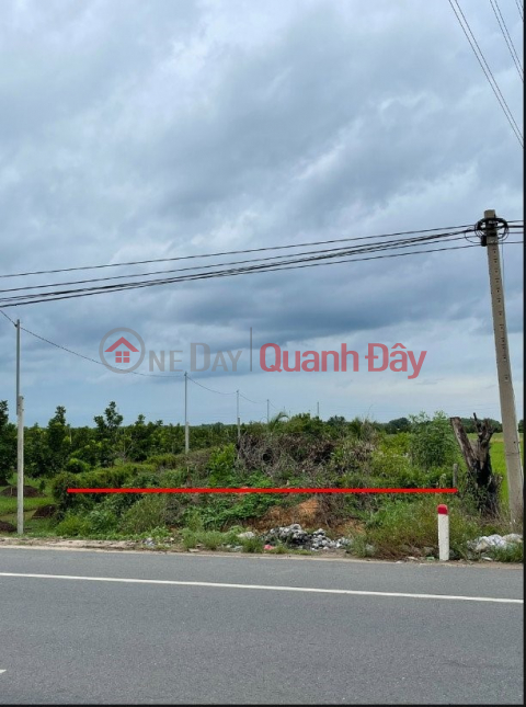 Land for sale by owner on street DT 784, Hamlet 2 - Bau Don - Go Dau - Tay Ninh _0