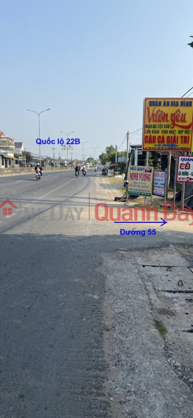 Property Search Vietnam | OneDay | Residential, Sales Listings | BEAUTIFUL LAND - Good Price - Owner Needs Quick Move Beautiful land plot in Go Dau district, Tay Ninh province