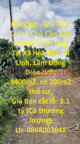 Đất Đẹp - Giá Tốt - Chính Chủ Cần Bán Lô Đất Vị Trí Đẹp Tại Xã Hòa Bắc, Di Linh, Lâm Đồng Niêm yết bán