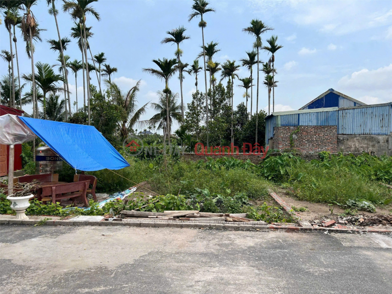 Property Search Vietnam | OneDay | Nhà ở Niêm yết bán | Lô giá hiếm 9xx triệu – mặt đường nhựa 6m Nhà Mạc Hòa Nghĩa ZALO 0567 222 555