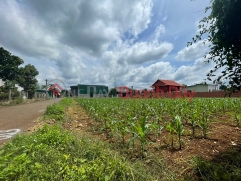 Land for sale Cao Thang-EAKAO (nam-0327785714)_0