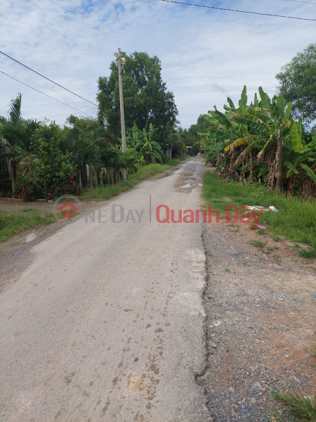 ₫ 2.03 Billion BEAUTIFUL LAND - GOOD PRICE - Owner Sells Land Lot In Duc Hue District, Long An Province