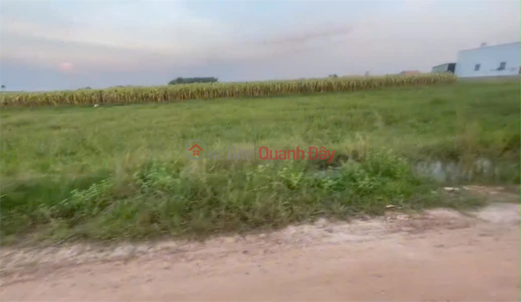 PRIME LAND - GREAT PRICE - QUICK SALE! INVESTMENT PLOT WITH HIGH PROFIT POTENTIAL IN TRANG BANG CITY, TAY NINH PROVINCE, Vietnam, Sales đ 1.1 Billion