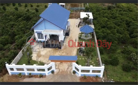 BEAUTIFUL LAND - GOOD PRICE - Land Lot For Sale Prime Location In Loc Chau Commune, Bao Loc City, Lam Dong _0