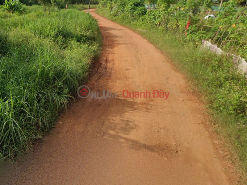 Đất Mặt tiền SHR HXH 1194m2 – Đông Thạnh 2-5 Hóc Môn, Việt Nam | Bán | đ 9,8 tỷ